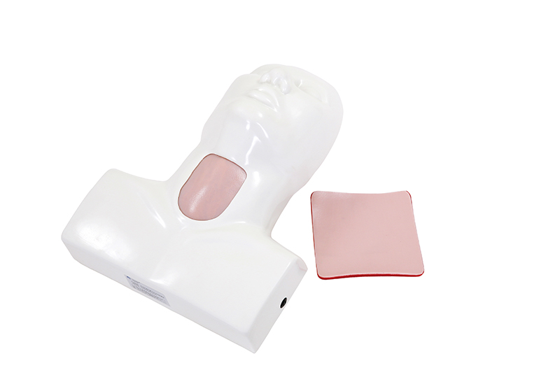 环状软骨气管切开术训练模型